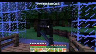 Minecraft- Werewolf fail