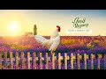 Wake Up Happy Morning Music ➤ Strong Positive Energy ➤Background Music For Stress Relief, Meditation