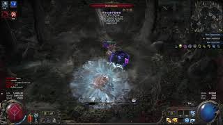 poe2 : Report BUG, Invisible Monster