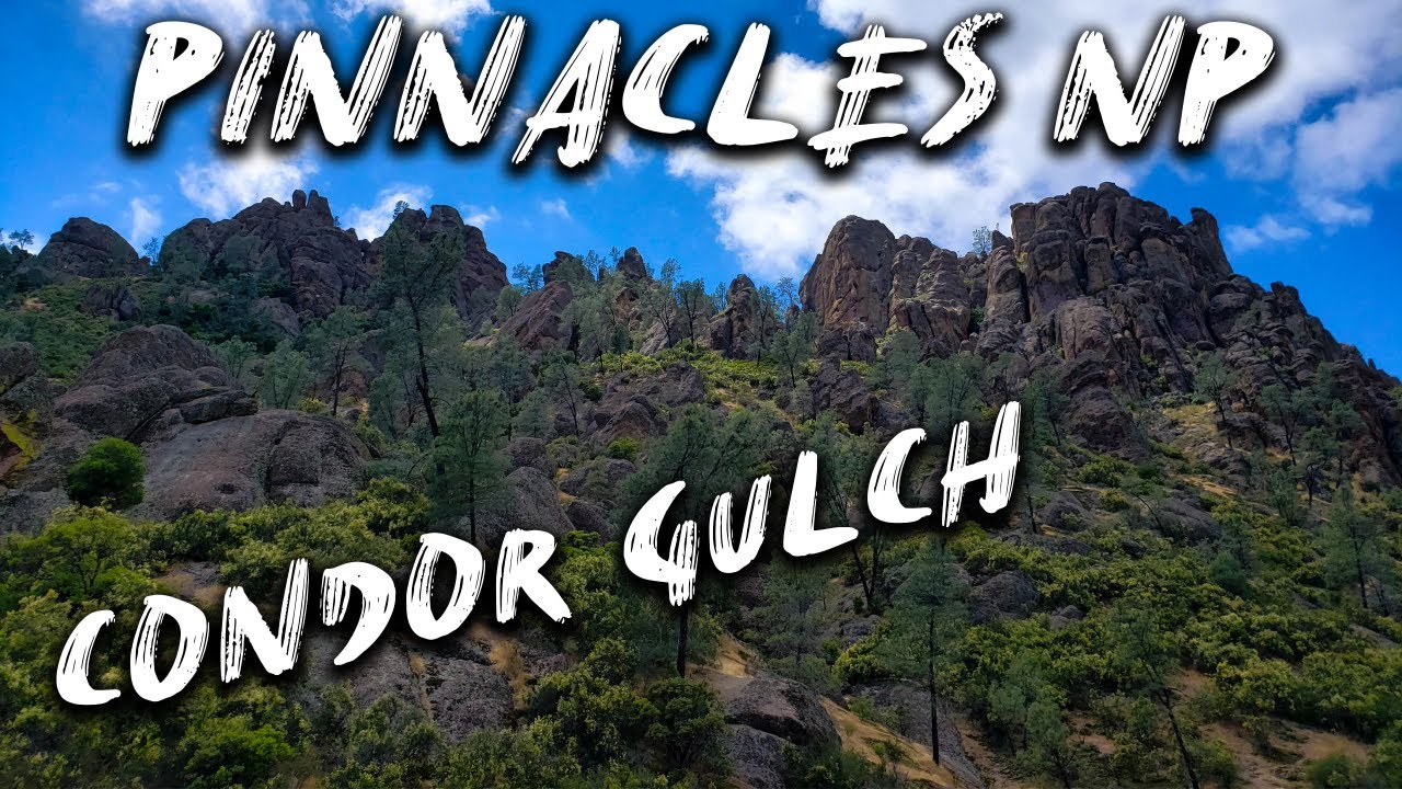 Hiking the Condor Gulch Trail in Pinnacles National Park
