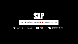 #38 🎃Подборка музыки🎃🎃 ShELLiL x PhONK  #shorts #8daudio #music #animals #SXP 🎃