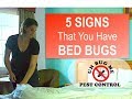 5 SIGNS You Have BED BUGS