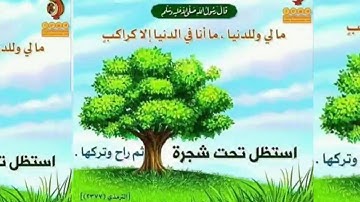 تلاوة شاب جزائري تخشع لها القلوب ❷