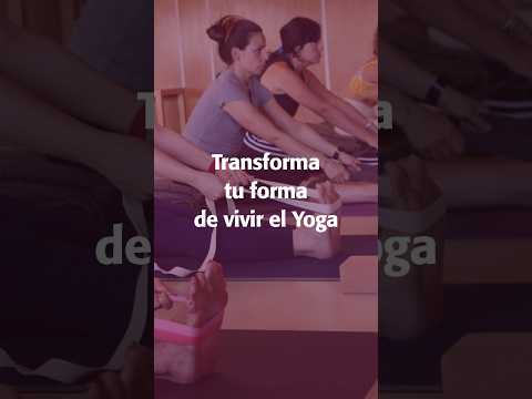 Transforma tu manera de vivir el Yoga