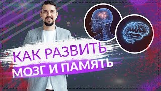 Как прокачать мозг | Что нужно для развития памяти и внимания