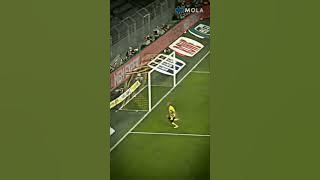 Halland si setengah manusia setengah robot #shorts