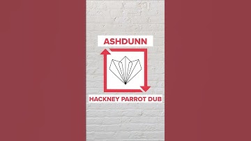 Thumbnail of Ashdunn's flip of the iconic 'Hackney Parrot' is now available for FREE via Soundcloud | #shorts