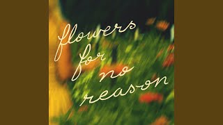 Flowers For No Reason - Ellie Holcomb