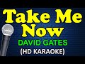 Take me now  david gates karaoke