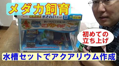虫かごで飼える魚mp3 虫かごで飼える魚mp3