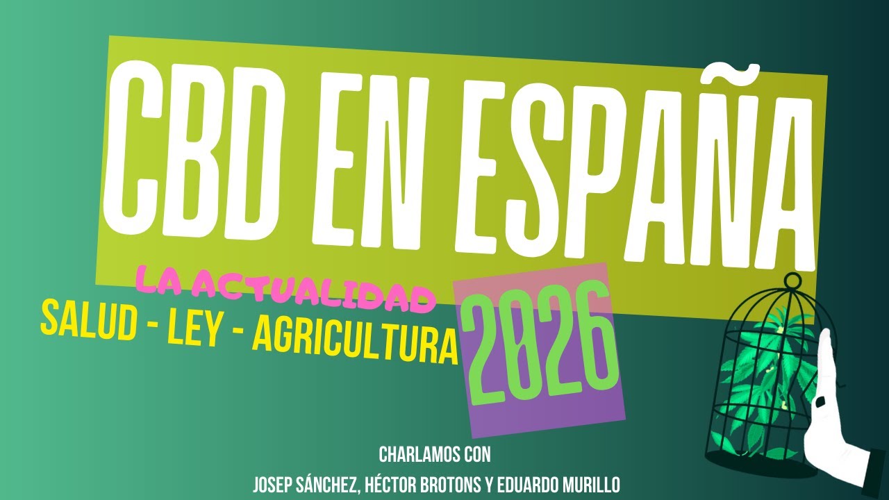 La realidad actual del CBD en España: salud, ley y cultivo