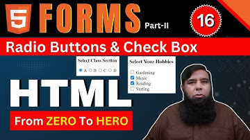 Master Form Controls: Checkbox & Radio Buttons with Shahid Naeem