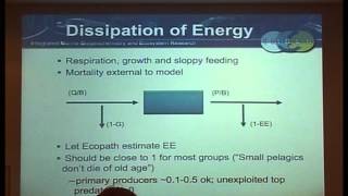 IMBER ClimECO3 - 12 - Overview of Ecopath model - part 1/4 - Beth Fulton