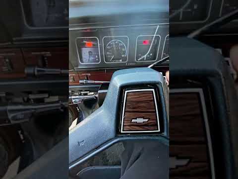 كابرس شفر 1989