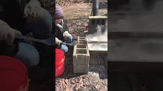 maple syrup: just keep boiling 🍁🔥 Net Worth