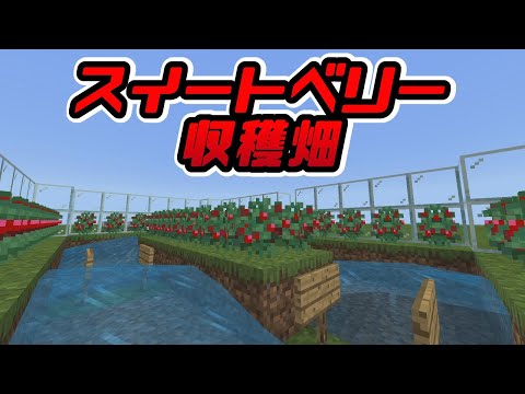 マインクラフト統合版　キツネを使わないスイートベリー収穫畑　PS4/Switch/xbox/PE/win10　1.16.100