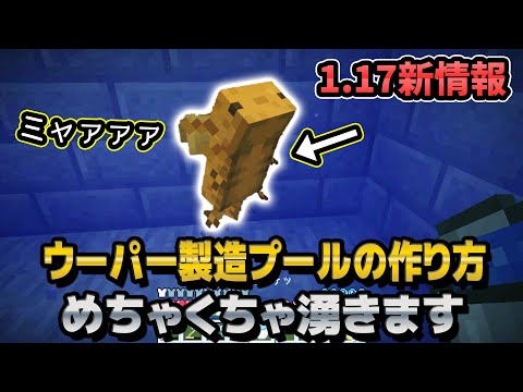 超簡単！1.17対応！ウーパールーパー増殖プールの作り方【マインクラフトJAVA1.17】