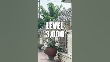 Spiked Chrome Gates and Fencing (Protection Levels)