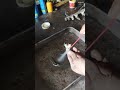 Fix Your Injectors Fast! ⚡#InjectorCleaning #CarTips #EnginePower #shorts