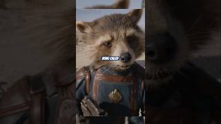 Why Does Rocket Hate Being Called By Animal Names