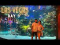 Vegas Vlog Day 3 | RayniseMichelle