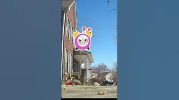 Daylight Savings Time Visits #Shorts ⏰