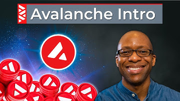 The Avalanche Protocol: (The Real Deal or Just Hype?)