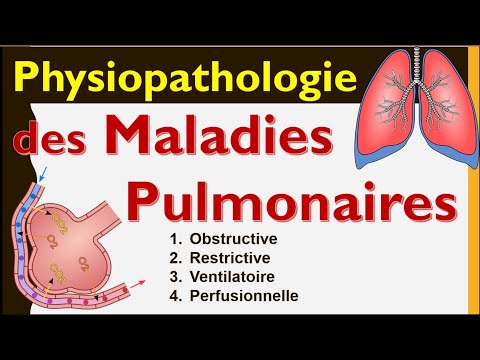 Causes et Physiopathologie des Maladies respiratoires explication Anatomie Poumon Cours de Médecine