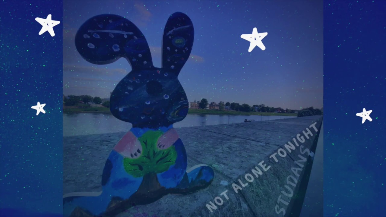 STUDANS — Not Alone Tonight