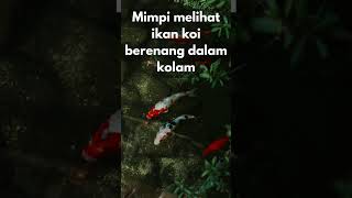 Arti mimpi melihat ikan koi berenang dalam kolam