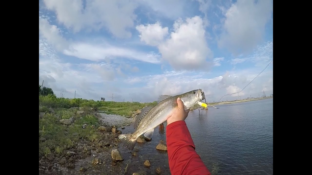 Trout Fishing in Galveston TX. YouTube