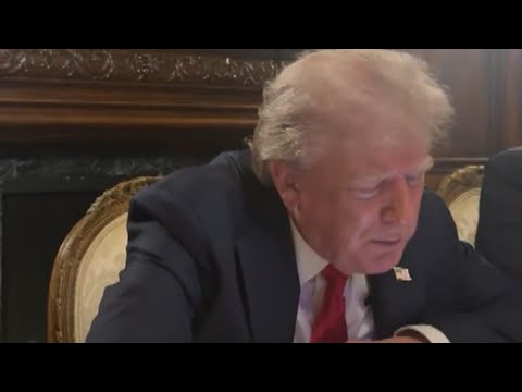 Donald Trump Appears