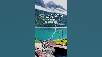 ﴿ كُلُّ نَفْسٍ ذَائِقَةُ الْمَوْتِ ۗ  سورة آل عمران الأية {185}❤