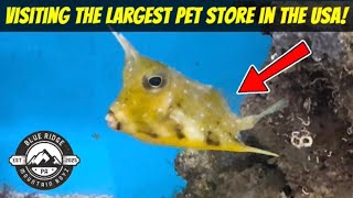 Visiting the LARGEST pet store in the USA | That Pet Place in Lancaster, PA!