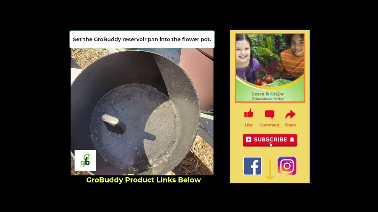 Introducing the GroBuddy Self-Watering Planter Insert