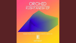 Kushtanesh (Günce Aci Remix)