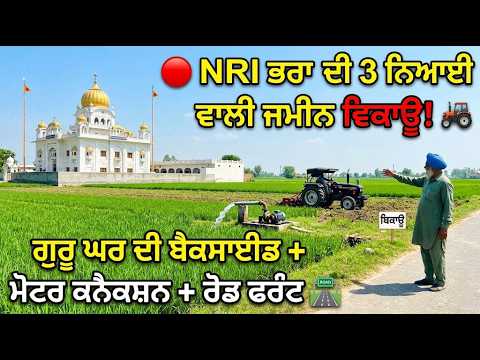 🔴 NRI ਭਰਾ ਦੀ 3 ਕਿਲੇ ਨਿਆਈ ਵਾਲੀ ਜਮੀਨ ਵਿਕਾਊ! 🚜 ਗੁਰੂ ਘਰ ਦੀ ਬੈਕਸਾਈਡ + ਮੋਟਰ ਕਨੈਕਸ਼ਨ + ਰੋਡ ਫਰੰਟ 🛣️