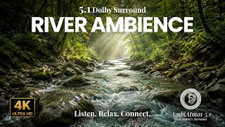 River Sounds in 5.1 Surround | Immersive Nature Experience 4K