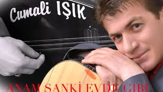 Cumali IŞIK Anam== Sanki ==Evde ==Gibi== 05352198730 ==NİĞDE