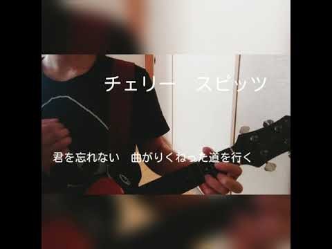 チェリー　スピッツ　ウクレレ弾き語り