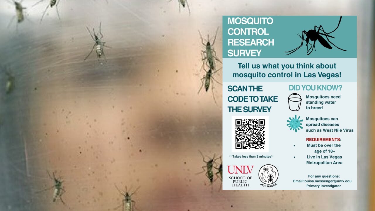 Las Vegas mosquito population surges as city grows, UNLV seeks resident input