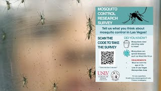 Famous Las Vegas mosquito population surges as city grows, UNLV seeks resident input Net Worth