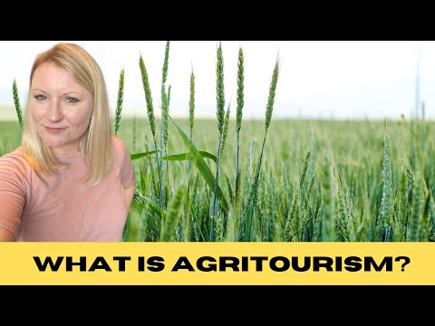 Video: Agritourism: 18 Farmstay sa India para Makabalik sa Kalikasan