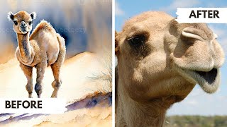 The Camel: 63 Fascinating Facts About These Desert Dwellers | A Walking Encyclopedia Desert Survival