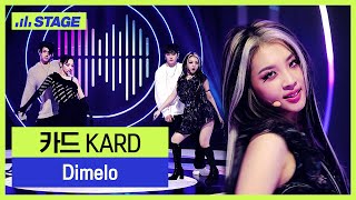 카드(KARD) 히든트랙 1위곡👑- Dímelo | 하이라이트 | 뮤직 라이브쇼 [히든트랙2]