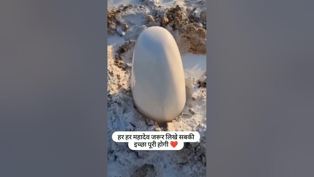 Om Namah Shivaya 🔱🚩 Sachet Parampara 🚩 Mahadev status 🚩 Mahadev songs 🚩 Bholenath 🚩🔥🔥