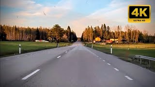 Calm Evening Drive through Sweden: Golden Hour in a Tesla Model Y