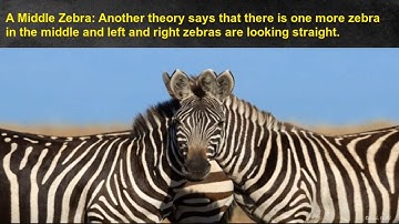 Left Right Zebra Optical illusion Riddle/Puzzle stumping the internet
