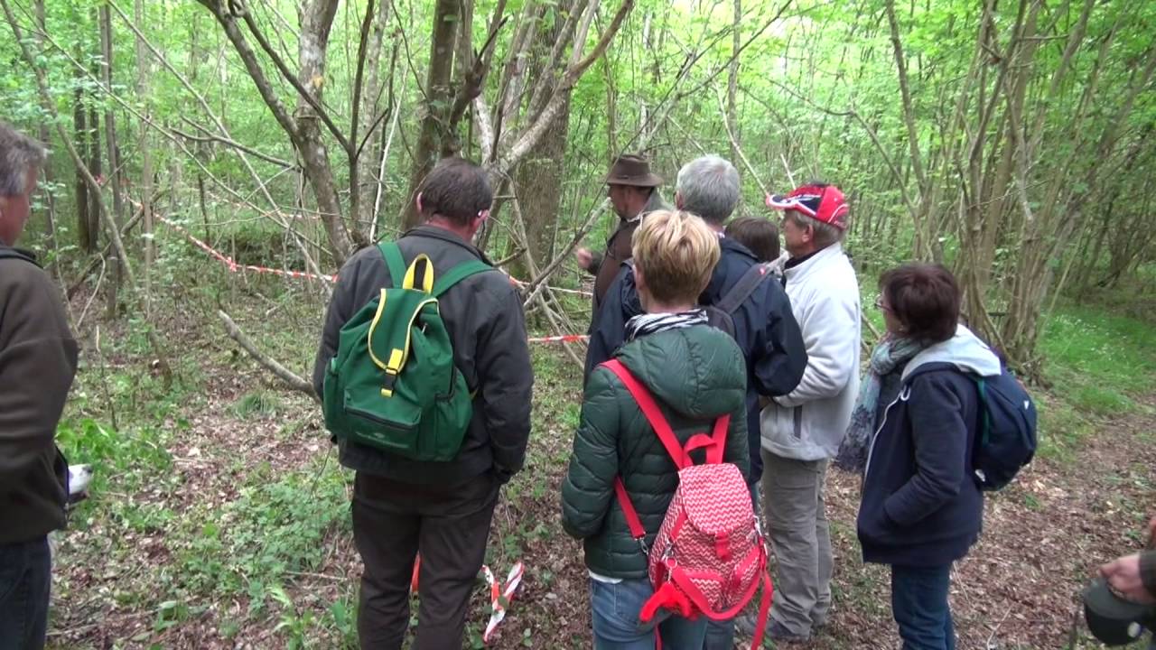 randonnee pedestre marne