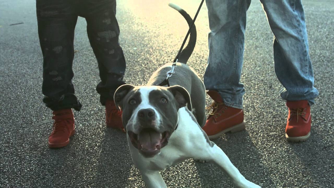 BeastUp Films presents NINETEEN87 "WE ON' OFFICIAL MUSIC VIDEO